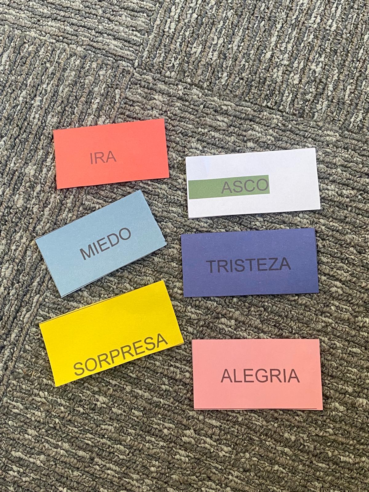 Taller de salud mental - actividad grupal